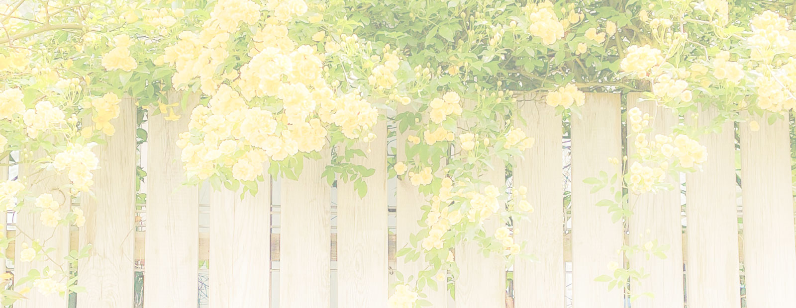 キービジュアルイメージ01